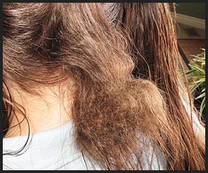 Matting Hair Matting Hair